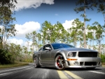 Shelby Mustang